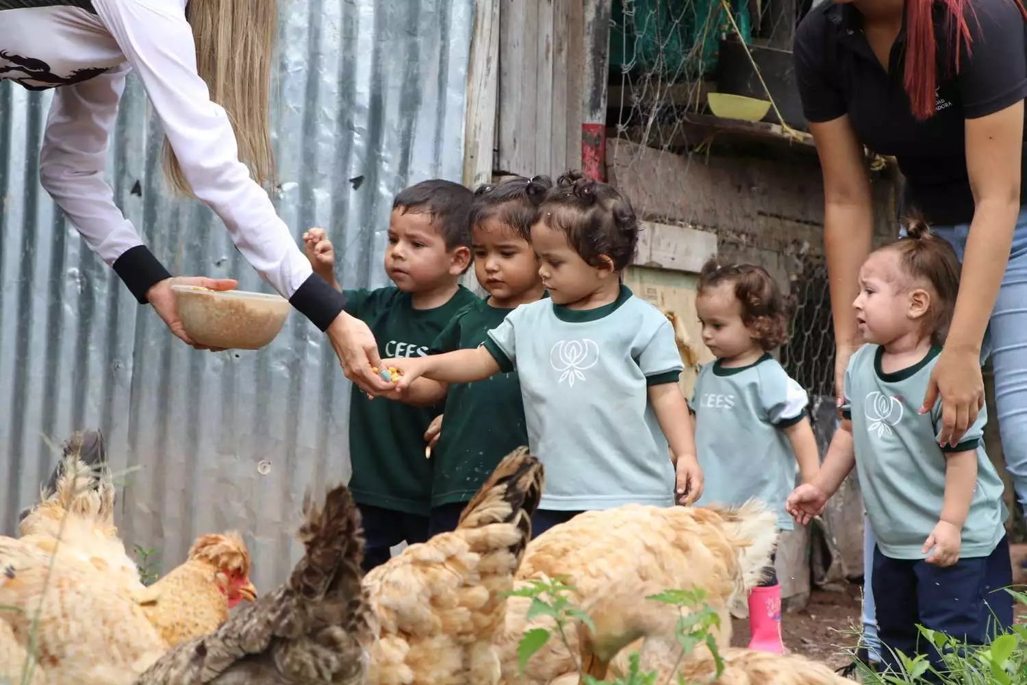 Imagen Ciudad Educadora Espíritu Santo