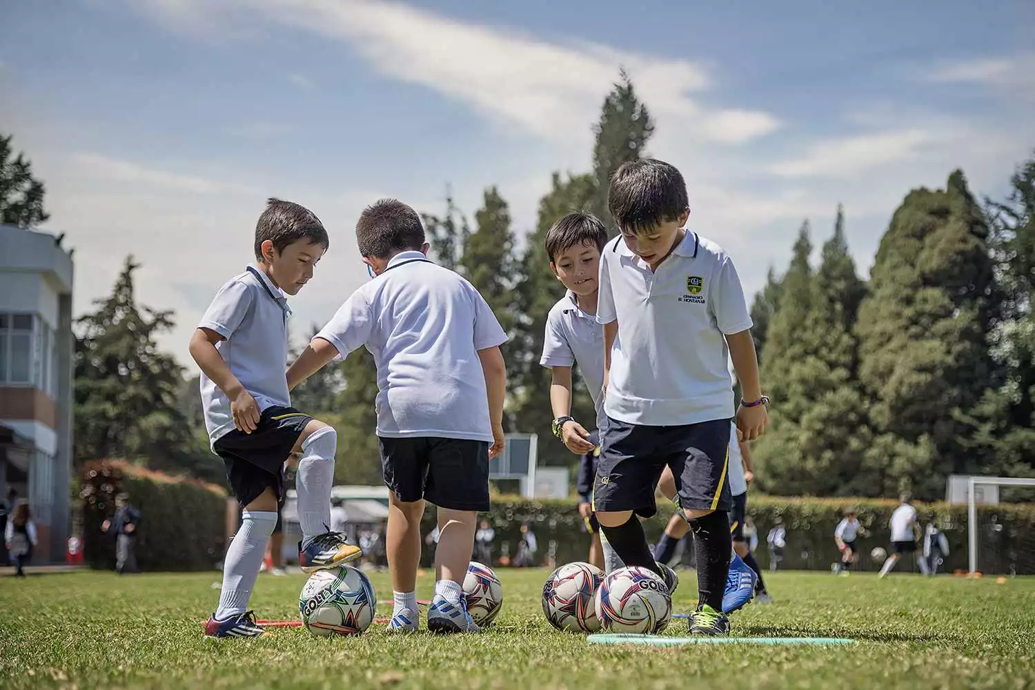 Imagen Gimnasio el Hontanar - Bilingüe Internacional 