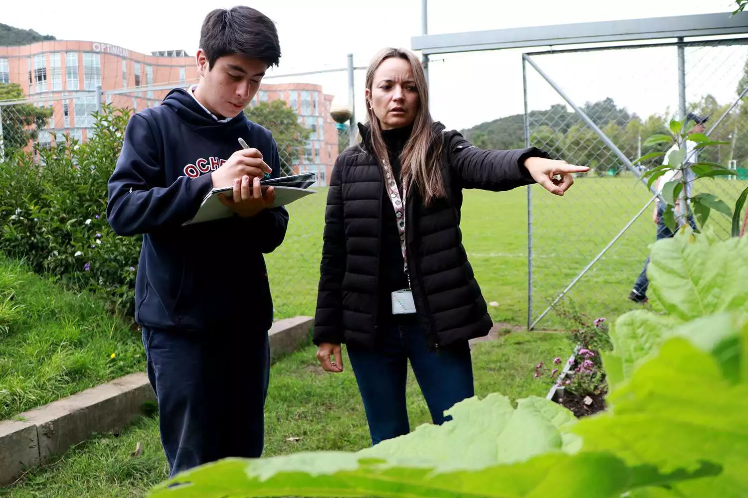 Imagen Colegio Rochester