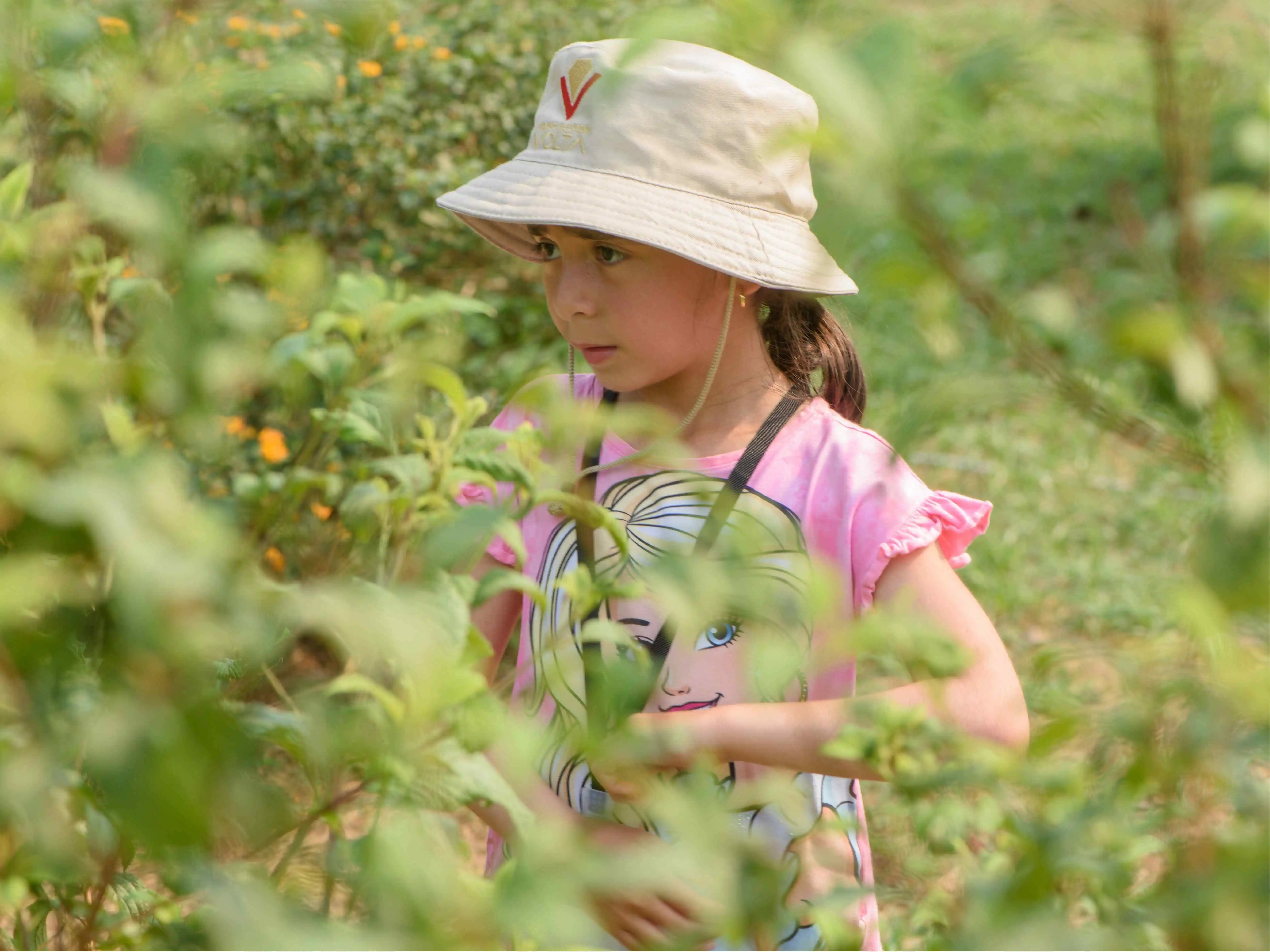 Imagen Gimnasio Alessandro Volta