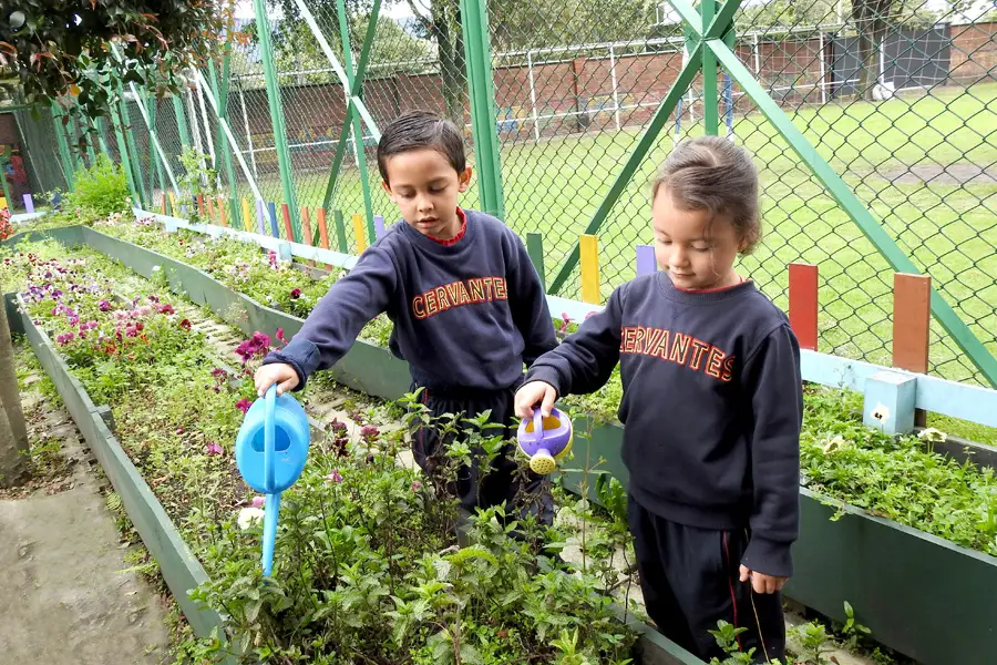 Imagen Colegio Liceo Cervantes 