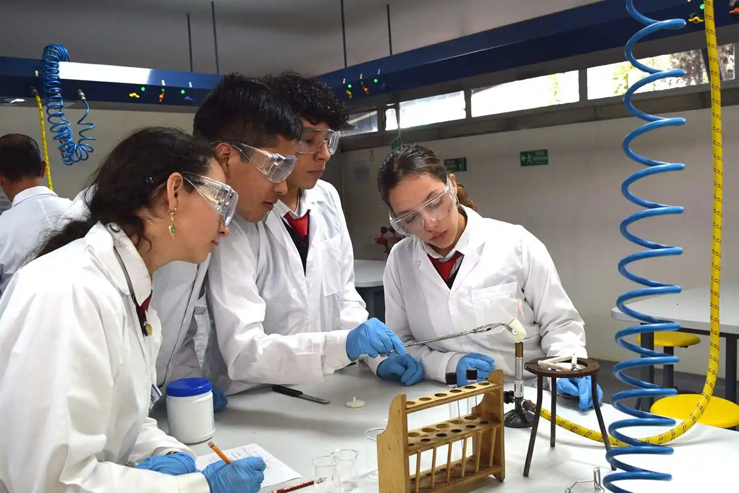 Imagen + Colegio Nueva Inglaterra - Bilingüe Internacional 