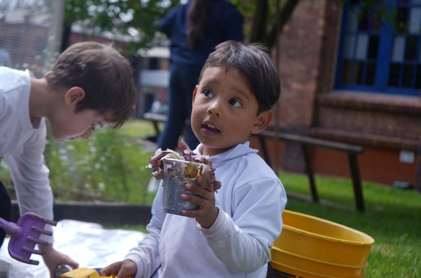 Imagen Colegio Nuevo Gimnasio