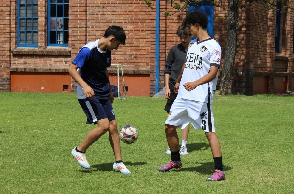 Imagen Colegio Nuevo Gimnasio