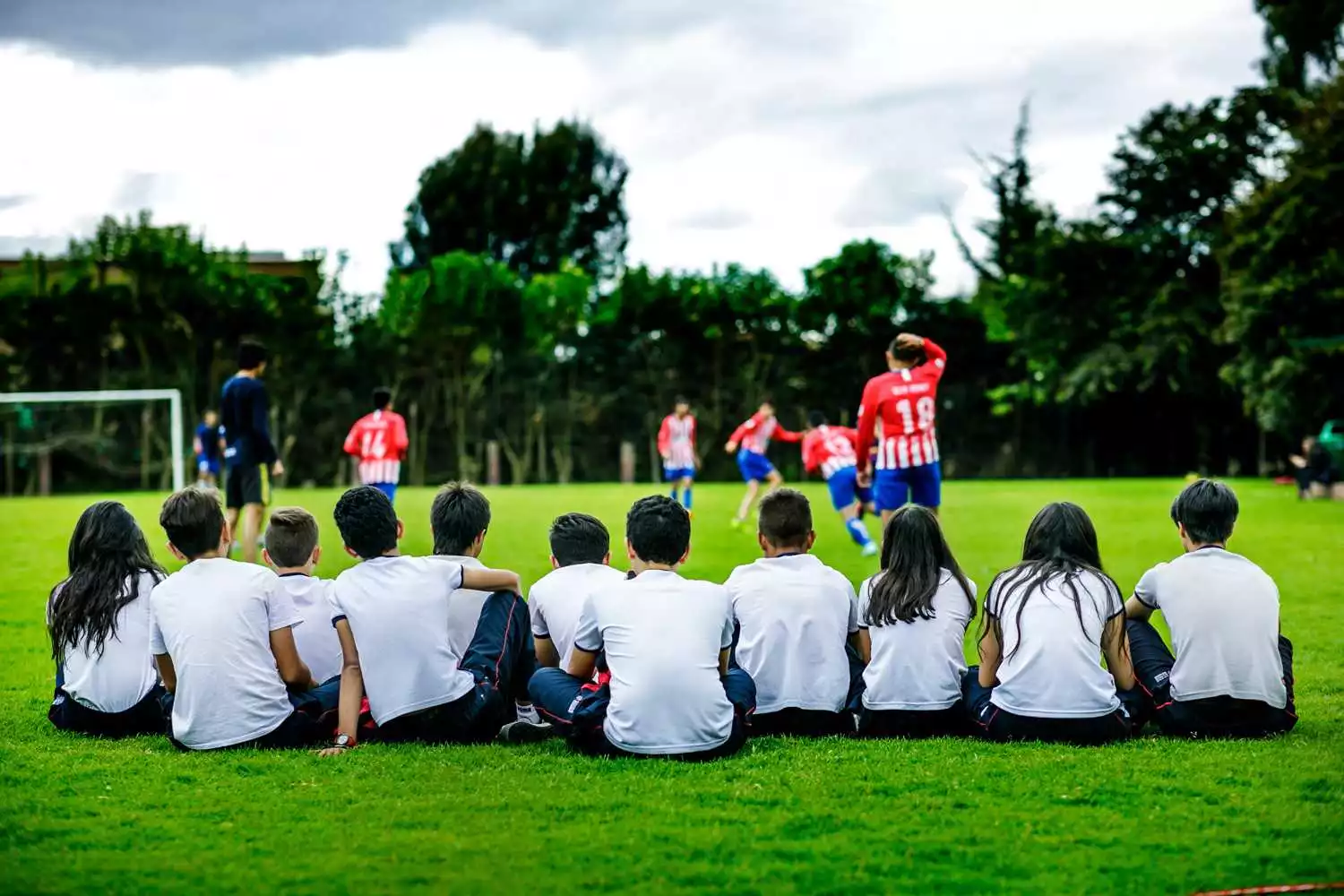 Imagen Colegio Bilingüe Richmond 