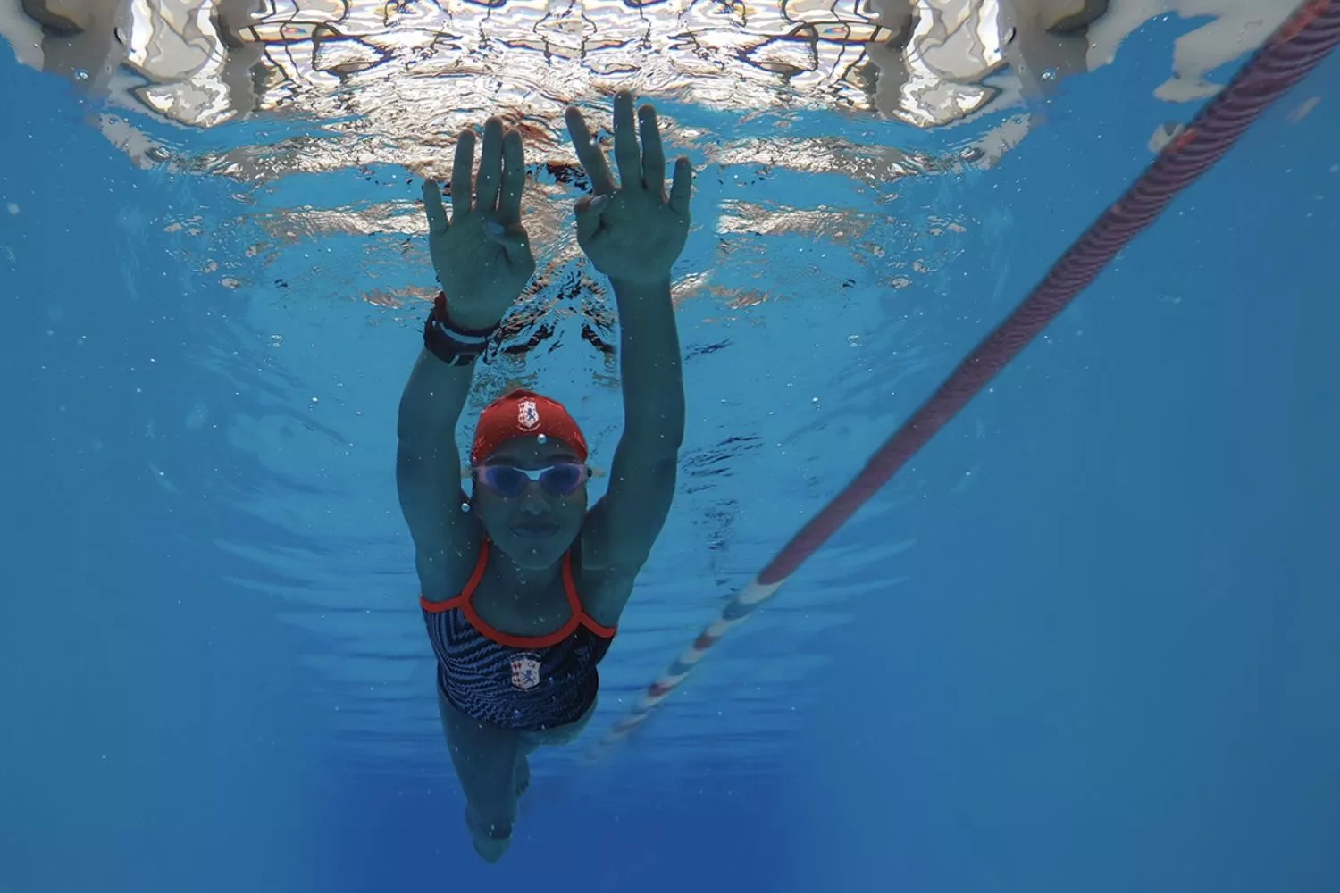 Imagen Colegio Rochester