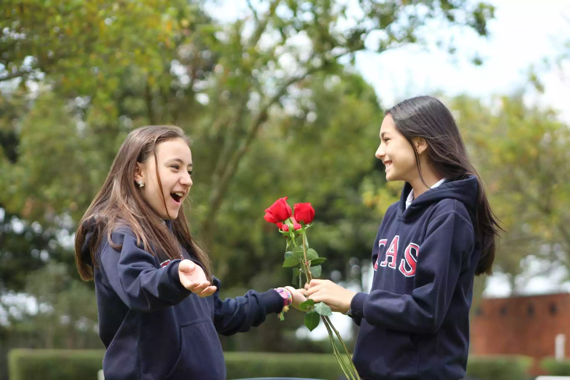 Imagen Colegio Colombo Americano CAS 