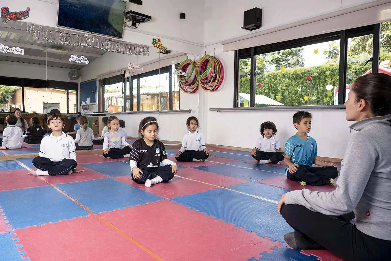 Imagen Colegio CIEDI - Bilingüe Internacional