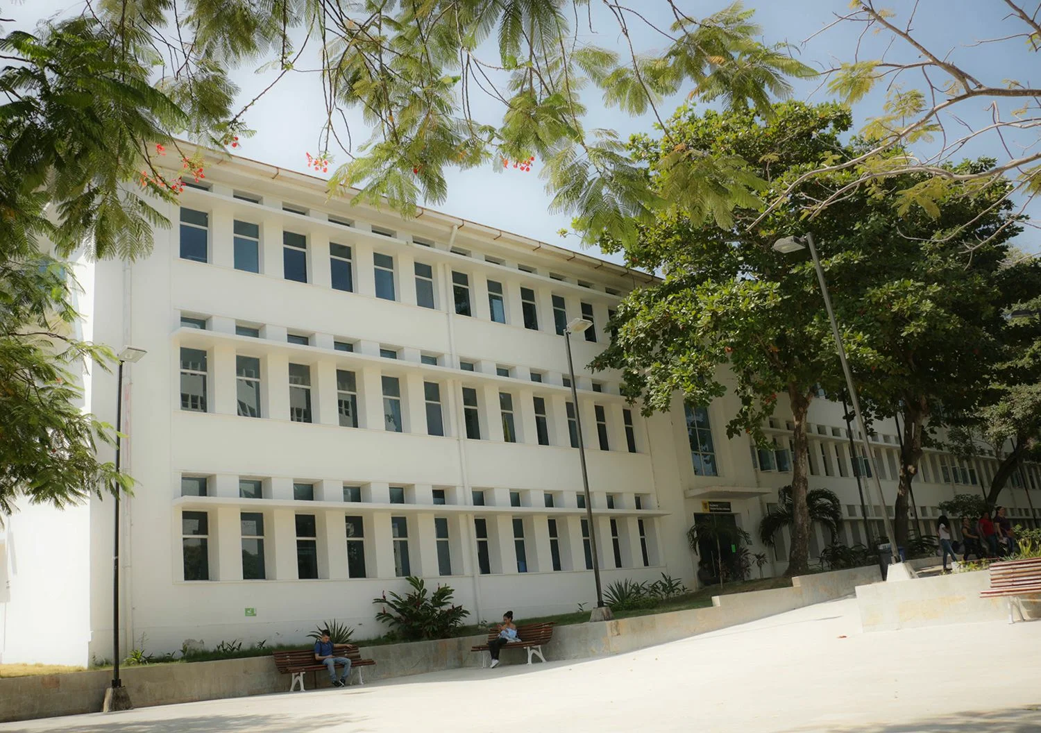 Imagen Universidad De Cartagena