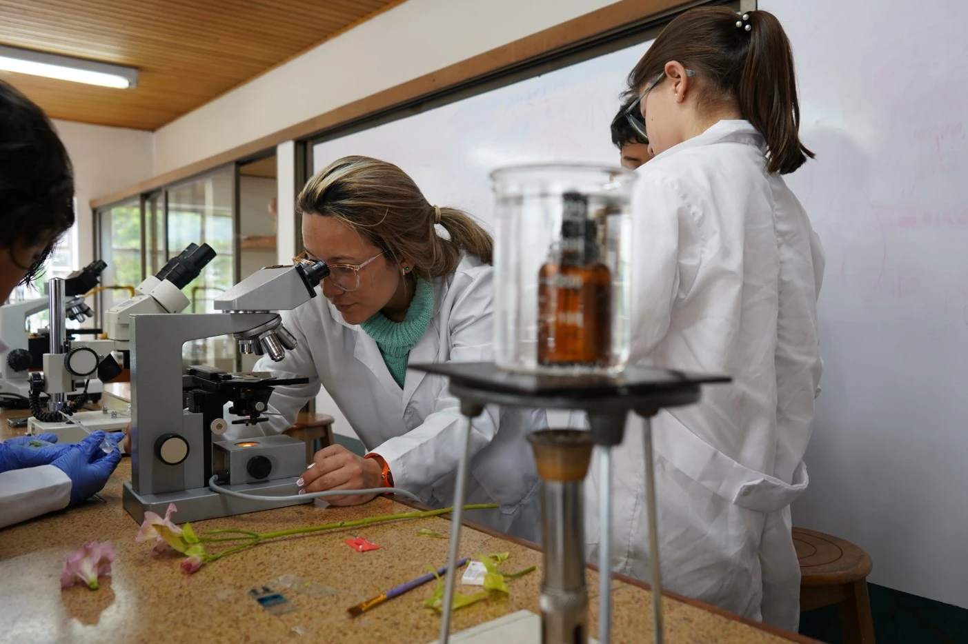 Imagen Colegio Nuevo Gimnasio