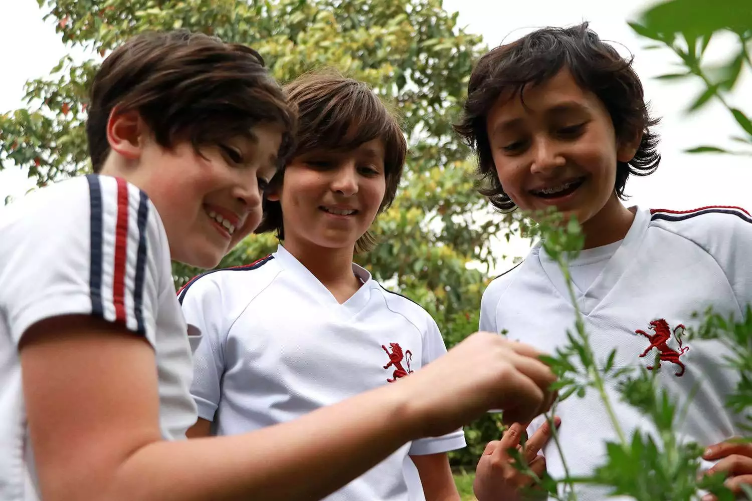 Imagen Colegio Rochester