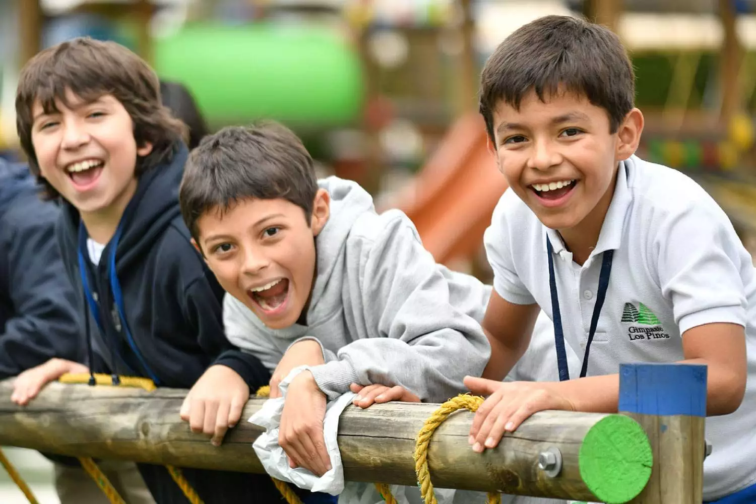 Imagen Gimnasio los Pinos - Bilingüe Internacional