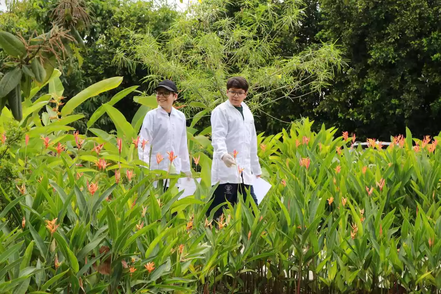 Imagen Ciudad Educadora Espíritu Santo