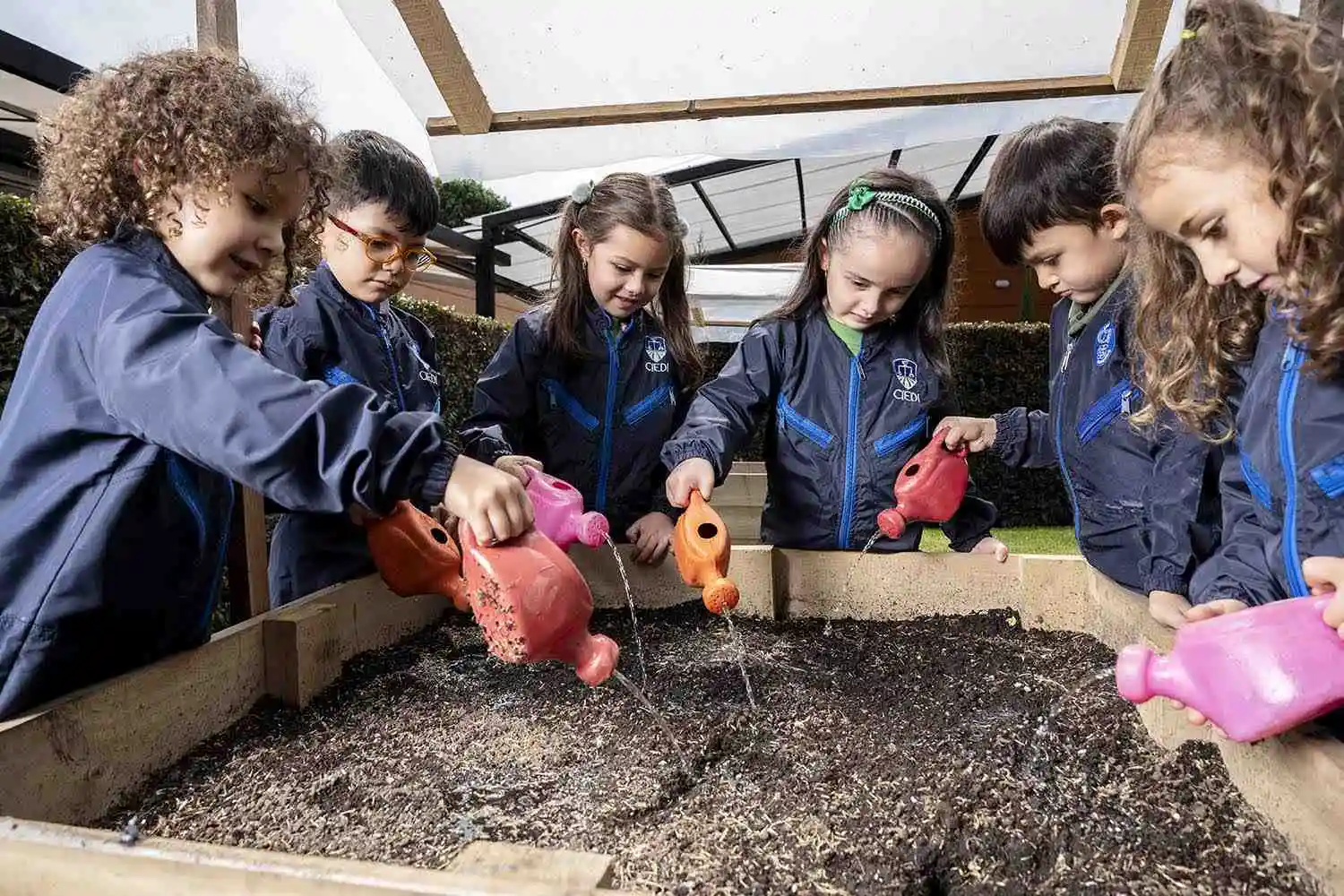 Imagen Colegio CIEDI - Bilingüe Internacional