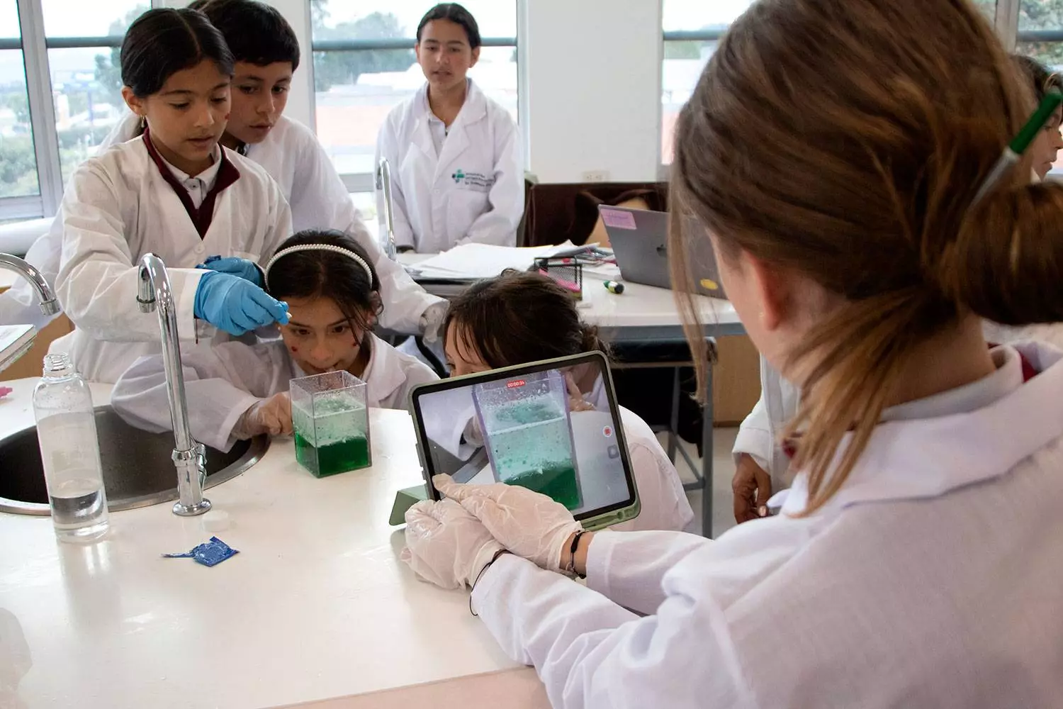 Imagen Colegio Rochester