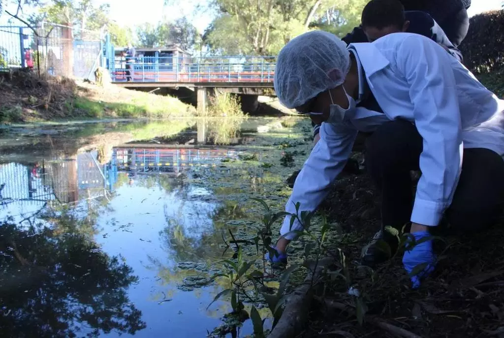 Imagen Colegio San Viator - Bilingüe Internacional