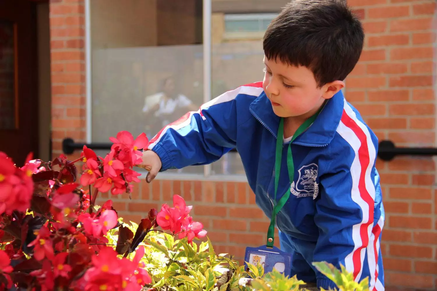 Imagen Colegio San Jorge de Inglaterra 