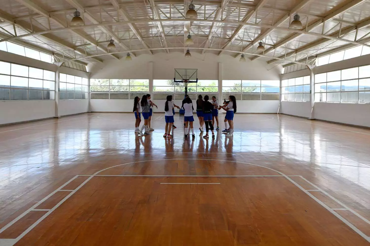 Imagen Gimnasio los Pinos - Bilingüe Internacional