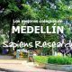 Ranking de los mejores colegios de Medellín 2019-2020