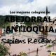 Los mejores colegios de Abejorral, Antioquia