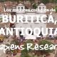 Los mejores colegios de Buriticá, Antioquia