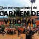Ranking de los mejores colegios del Carmen de Viboral 2019