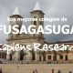 Ranking de los mejores colegios de Fusagasugá 2019-2020