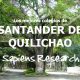 Ranking de los mejores colegios de Santander de Quilichao 2019-2020