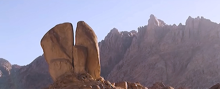 Reporte Ranking Art-Sapiens 2019