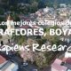 Los mejores colegios de Miraflores, Boyacá