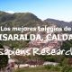 Los mejores colegios de Risaralda, Caldas