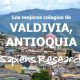Los mejores colegios de Valdivia, Antioquia