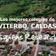 Los mejores colegios de Viterbo, Caldas