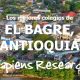 Los mejores colegios de El Bagre, Antioquia