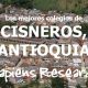 Los mejores colegios de Cisneros, Antioquia