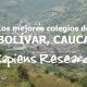 Los mejores colegios de Bolívar, Cauca