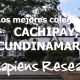 Los mejores colegios de Cachipay, Cundinamarca
