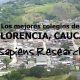 Los mejores colegios de Florencia, Cauca