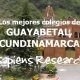 Los mejores colegios de Guayabetal, Cundinamarca