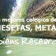 Los mejores colegios de Mesetas, Meta