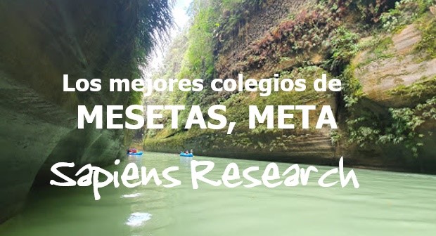 Los mejores colegios de Mesetas, Meta