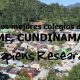 Los mejores colegios de Paime, Cundinamarca