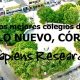 Los mejores colegios de Pueblo Nuevo, Córdoba