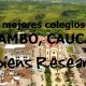 Los mejores colegios de El Tambo, Cauca