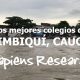 Los mejores colegios de Timbiquí, Cauca