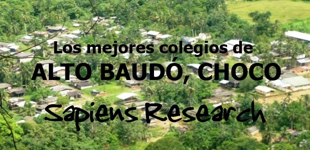 Los mejores colegios de Alto Baudó, Chocó