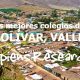 Los mejores colegios de Bolívar, Valle