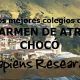 Los mejores colegios de El Carmen de Atrato, Chocó