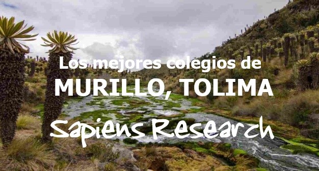 Los mejores colegios de Murillo, Tolima