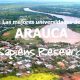 Las mejores universidades de Arauca
